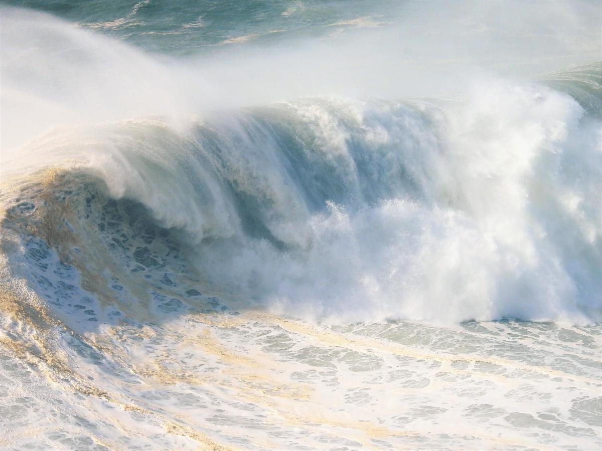 شقة White Swell By Sitio Da نازاريه المظهر الخارجي الصورة
